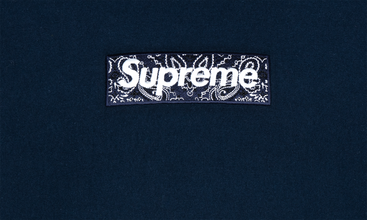 Bandana Box Logo Hoodie 