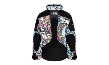 Supreme TNF Steep Tech Apogee Jacket 