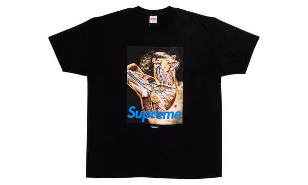 Undercover Anatomy Tee