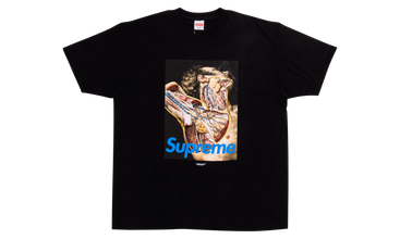 Undercover Anatomy Tee