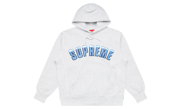 Icy Arc Hoodie "FW 20"