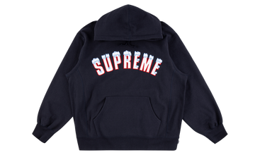 Icy Arc Hoodie 