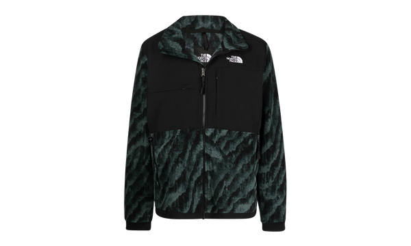 Print Denali 2 Jacket