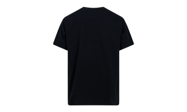 ABC Camo Milo on Bape Tee