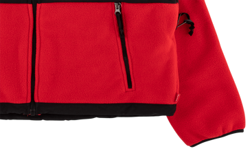 TNF Arc Logo Denali Fleece Jacket 