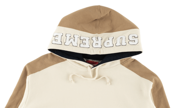 Paneled Hooded Sweatshirt 