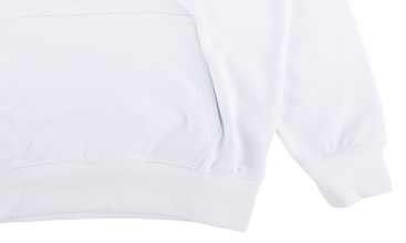 Fuji Pal Hoodie