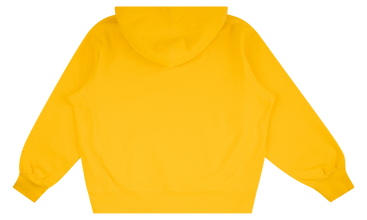 Icy Arc Hoodie 