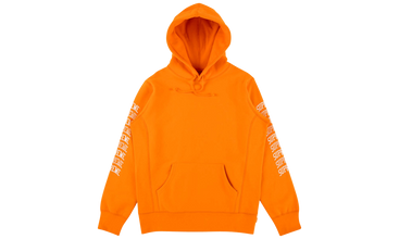 Sleeve Arc Logo Hooded Sweatshirt 