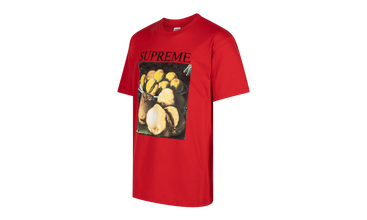 Still Life Tee 