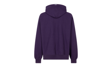 Box Logo Hooded Sweatshirt 