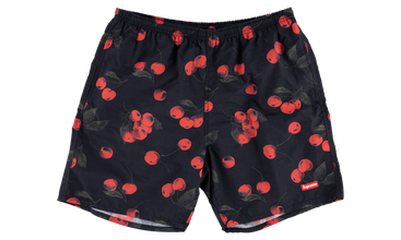 Nylon Water Short 