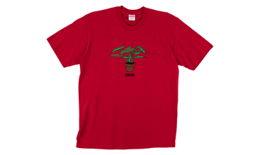 Plant Tee