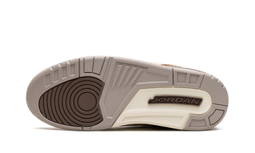 Air Jordan 3 