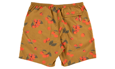 Nylon Water Short 