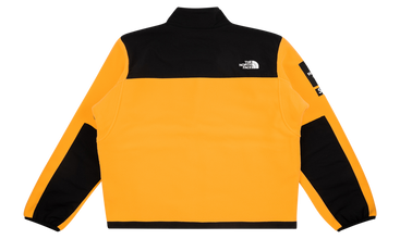 TNF Arc Logo Denali Fleece Jacket 