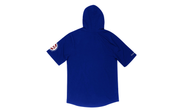 Short Sleeve Hoodie 