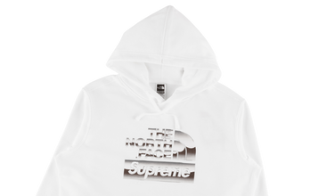 TNF Metallic Logo Hooded Sweatshirt 