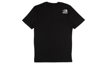 TNF Metallic Logo Tee 