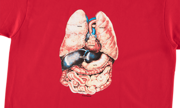 Guts Tee 