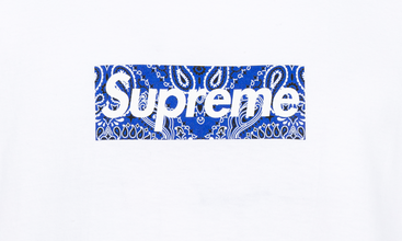 Bandana Box Logo Tee 