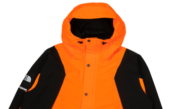 TNF Mountain Light Jacket