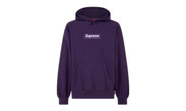 Box Logo Hooded Sweatshirt 