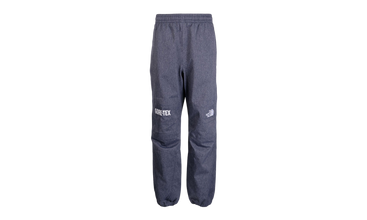 Mens GTX Mountain Pants 