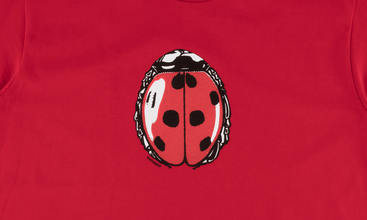 Ladybug Tee 