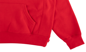 Apple Hoodie 