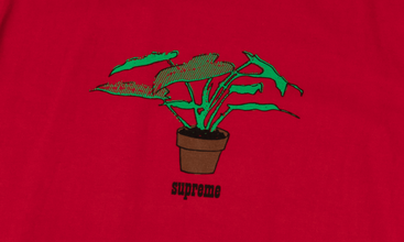 Plant Tee