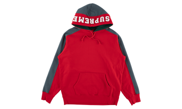 Paneled Hooded Sweatshirt 