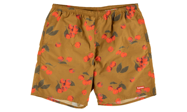 Nylon Water Short "SS 19"