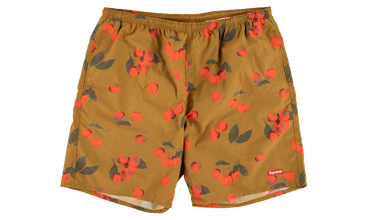 Nylon Water Short 