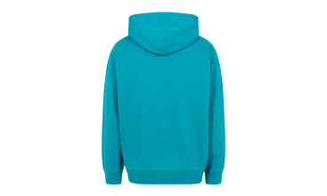 Embroidered Chenille Hoodie 
