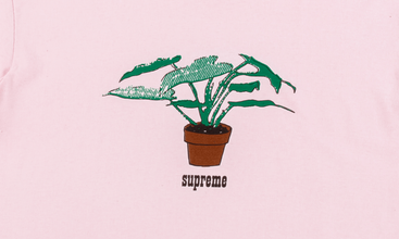 Plant Tee