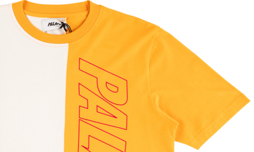 Flaggin T-Shirt
