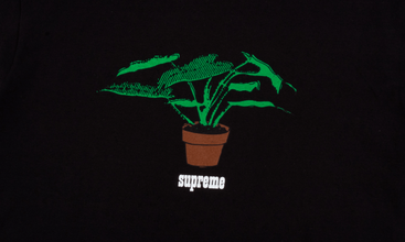 Plant Tee 