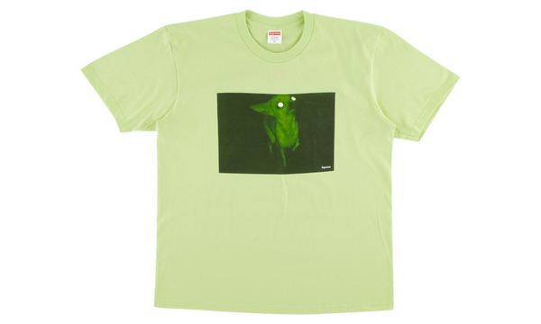 Chris Cunningham Chihuahua Tee "FW 18"