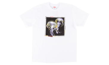 Jellyfish Tee 