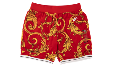 Nike Sports Shorts 