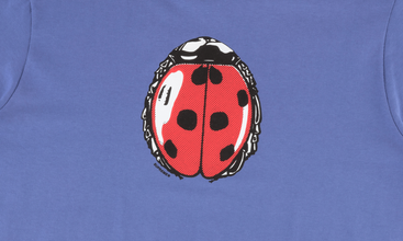 Ladybug Tee 
