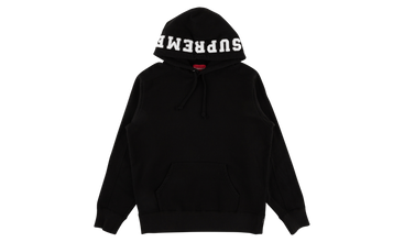 Paneled Hooded Sweatshirt 