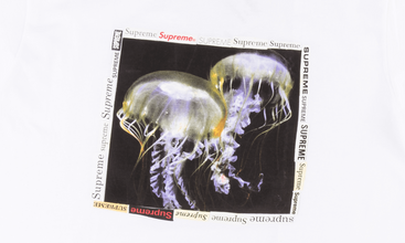 Jellyfish Tee 