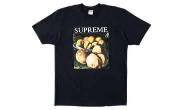 Still Life Tee 