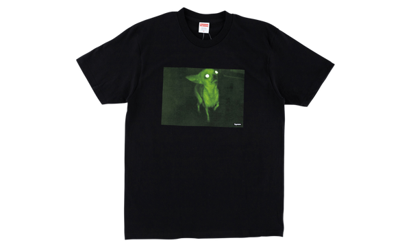 Chris Cunningham Chihuahua Tee "FW 18"