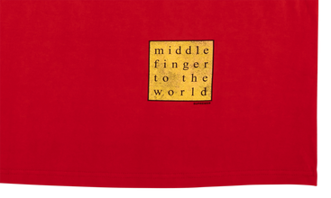 Middle Finger To The World Tee 