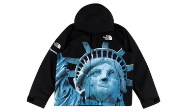 TNF Mountain Jacket 