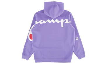 Champion Hooded Sweatshirt 