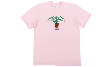 Plant Tee